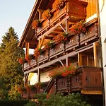 Appartamento In Ludwigsreut Mit Terrasse- Garten Und Grill By Interhome Haidmühle